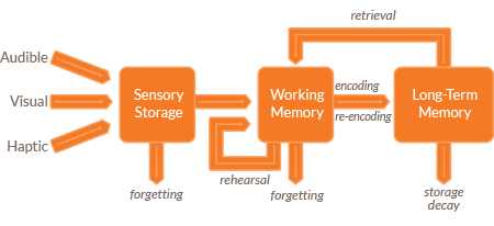 Model of cognitive sensory storage, working memory, and long-term memory