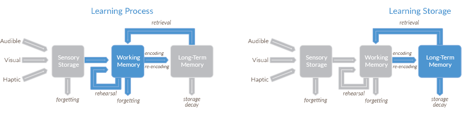 Working memory component of the learning process with rehearsal, forgetting, encoding, and retrieval 